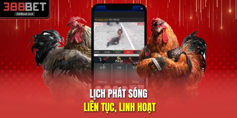 Lịch phát sóng liên tục, linh hoạt